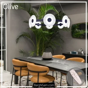 خرید آویز ریموت دار اولیو یک تیکه
